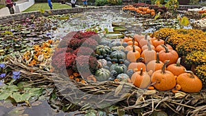 Pumpkin display in a pool at the Atlanta Botanical gardens, Atlanta, GA