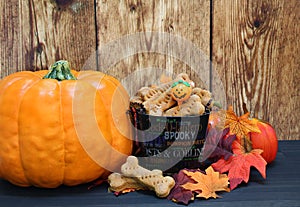 Pumpkin dog bones in a fall setting.