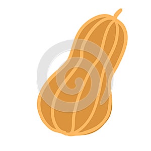 pumpkin doodle style vector element. handdraw illustration