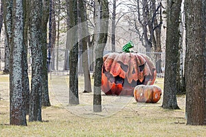 Pumpkin effigy in a summer garden