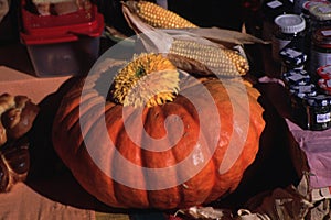 Pumpkin at fall festival