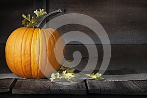 Pumpkin Fall Leaves photo