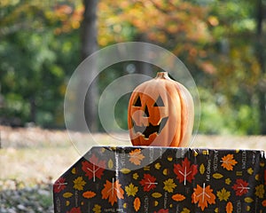 Pumpkin on fall tablecloth