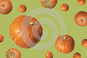 Pumpkin falls into the air on a green light background with space for text. Poster, poster, Halloween holiday