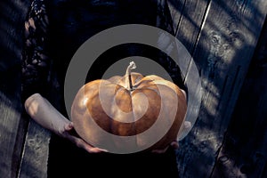 Pumpkin in female hands. woman dressed in black dress holds large orange pumpkin in her hands, background is wooden boards.