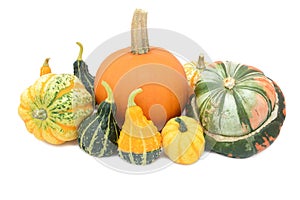 Pumpkin, Festival squash, Turks turban and ornamental gourds