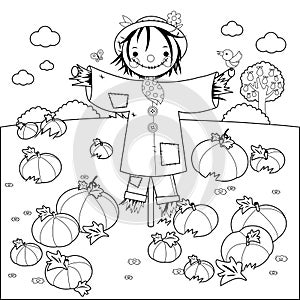 Pumpkin field and a scarecrow. Vector black and white coloring page