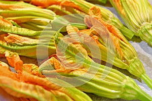 Pumpkin flowers ready for frying