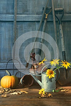 Pumpkin and flowers with tools