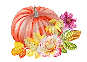 Pumpkin, flowers and yellow leaves on isolated background, watercolor botanical illustration hand drawing. Autumn design