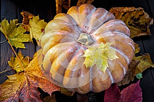 Pumpkin and foliage