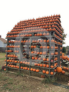 Pumpkin frame house