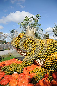 Pumpkin Frog King