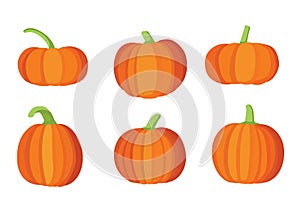 Pumpkin fruit and halloween design on white background