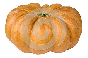 Pumpkin, gourd