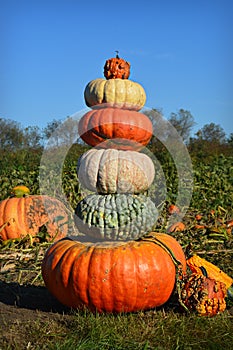 Pumpkin Gourd Tower