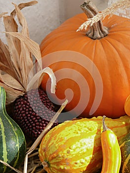 Pumpkin, Gourds and Corn in Window