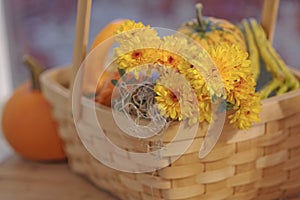 Pumpkin gourds and mums in basket selective DOF photo