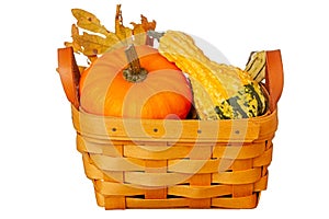 Pumpkin and gourds packed into a basket with autumn colored leaves