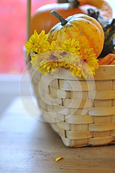 Pumpkin, gourds and yellow mums in basket