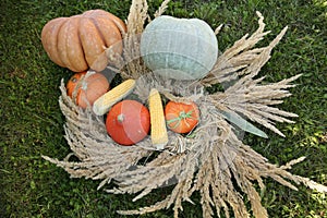 Pumpkin in the green grass with dekoration