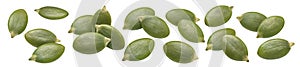 Pumpkin green seed set isolated on white background. Single and double seeds