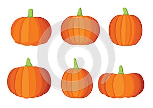 Pumpkin halloween fruit design on white background