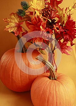 Pumpkin, halloween, thanksgiving decorations FALL  GIVE THANKS