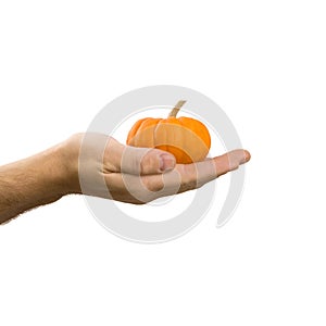 Pumpkin in hand