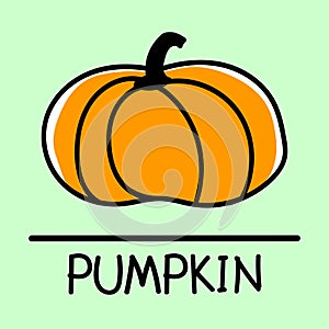 Pumpkin hand-drawn style.