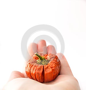 Pumpkin hand isolated