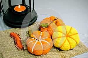 Pumpkin handmade photo