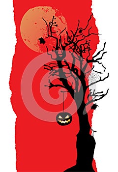 The pumpkin is hanging on the tree. Halloween banner