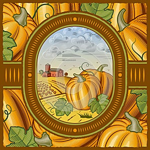 Pumpkin harvest