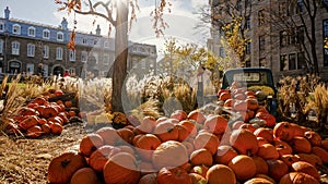 Pumpkin harvest festival during autumn on a sunny day in Quebec City, Canada.