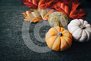 Pumpkin harvest. Three pumpkins and autumn leaves on a dark green spooky background. Orange white and green pumpkins for halloween