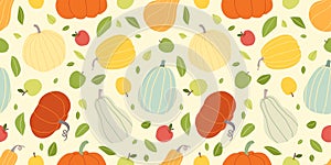 Pumpkin harvesting seamless pattern. Autumn different pumpkins. Colorful harvest pumpkins background