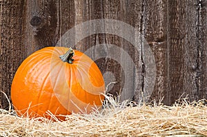 Pumpkin on hay