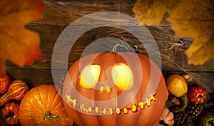 Pumpkin head Jack-o'-lantern and different small pumpkins, cones, acorns and spider web with spiders on a wooden