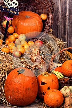 Pumpkin heads and autumn props wooden background