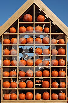 Pumpkin House