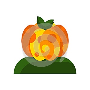 Pumpkin icon vector isolated on white background, Pumpkin sign , colorful symbols