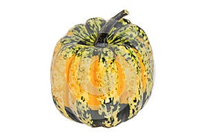 Pumpkin isolated. Close-up of a green orange Carnival or Festival pumpkin isolated on a white background. Healthy nutrition.