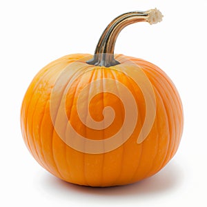 Pumpkin Halloween Orange Clean No blemishes large root clear white background photo