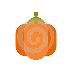 Pumpkin isolated. Large Fresh Traditional Halloween Vegetable