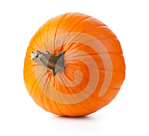 Pumpkin Isolated Over White Background