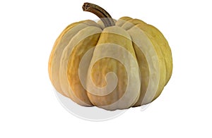 Pumpkin isolated in white background with clippingpath