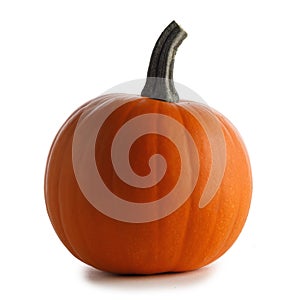Pumpkin isolated on white