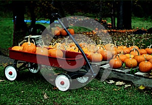 Pumpkin and a kids wagon photo