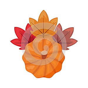 Pumpkin laeves foliage white background